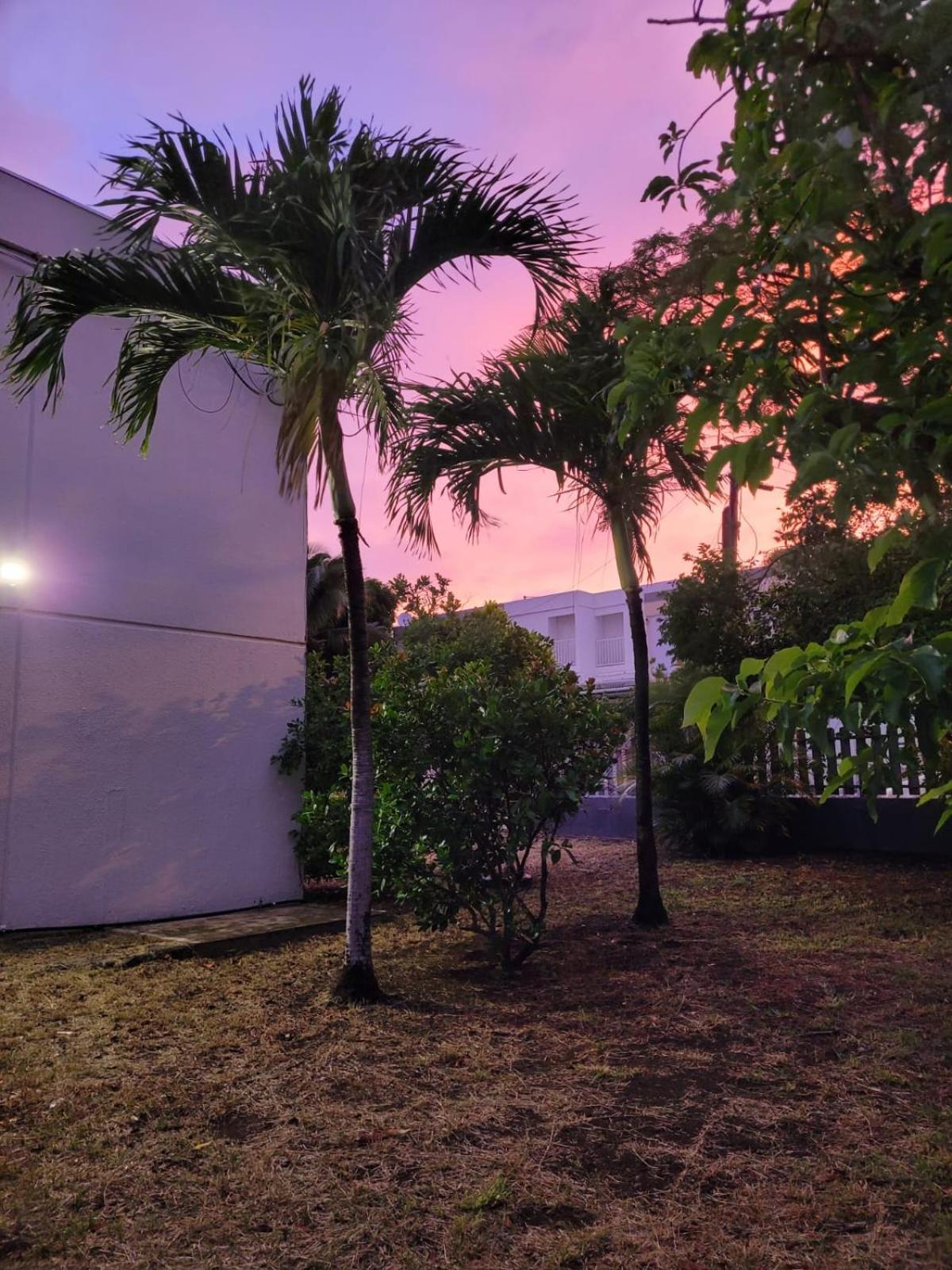Tropical Love Étang-Salé les Bains Extérieur photo